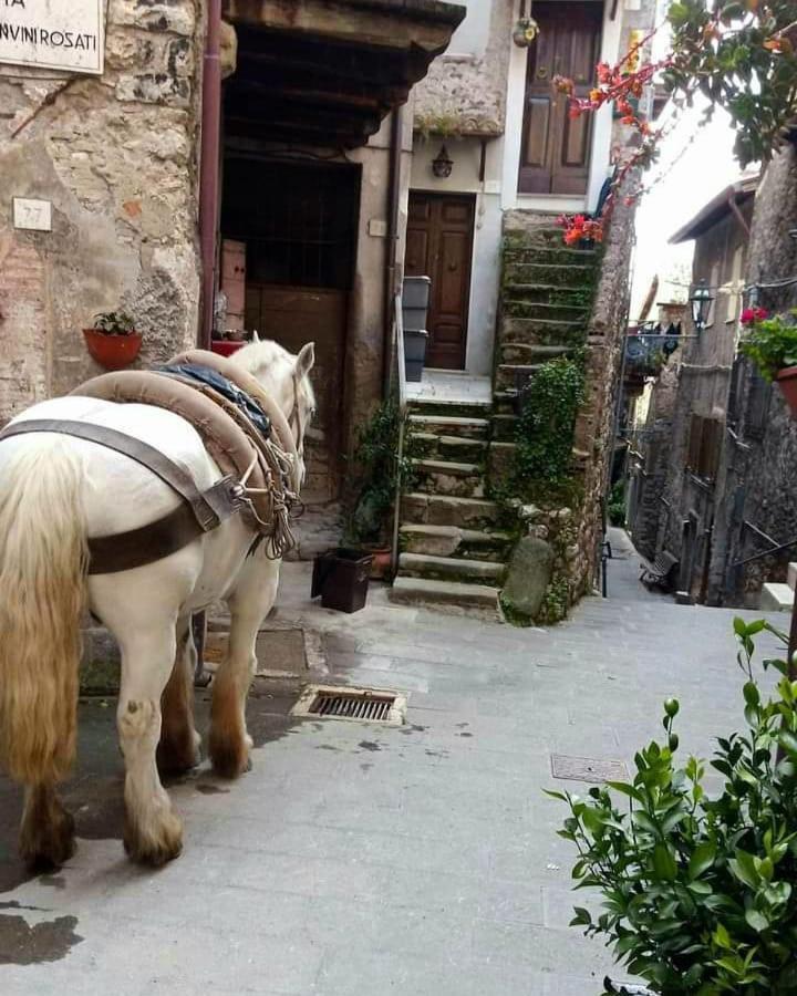 Casetta Nel Borgo Olevano Romano Exterior photo
