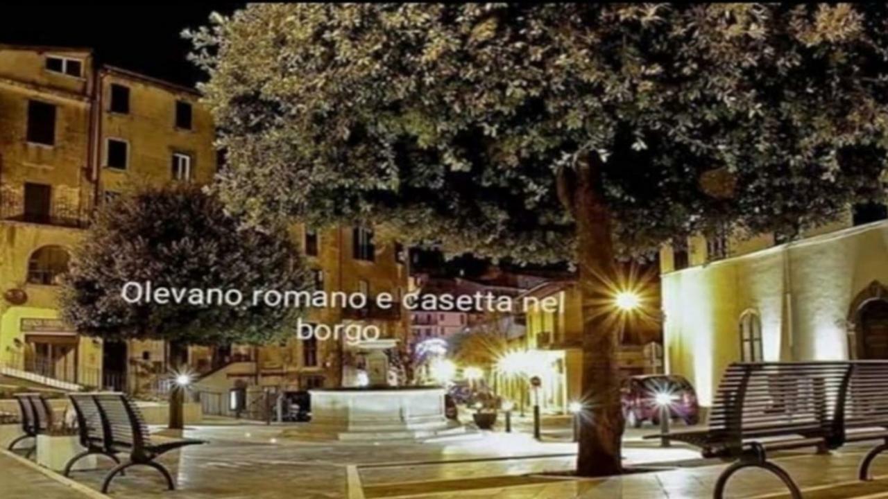 Casetta Nel Borgo Olevano Romano Exterior photo